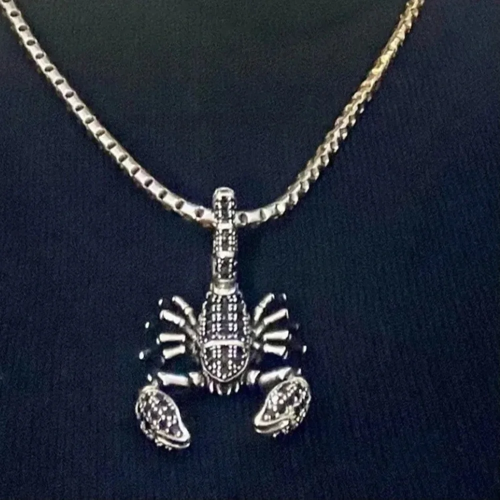 Anthro Pendant Scorpion Black Fashion Jewelry 925 Sterling Silver Rebel Men - Picture 1 of 16
